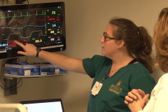 2017-baylornursingresearch